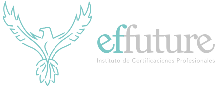 effuture Logo